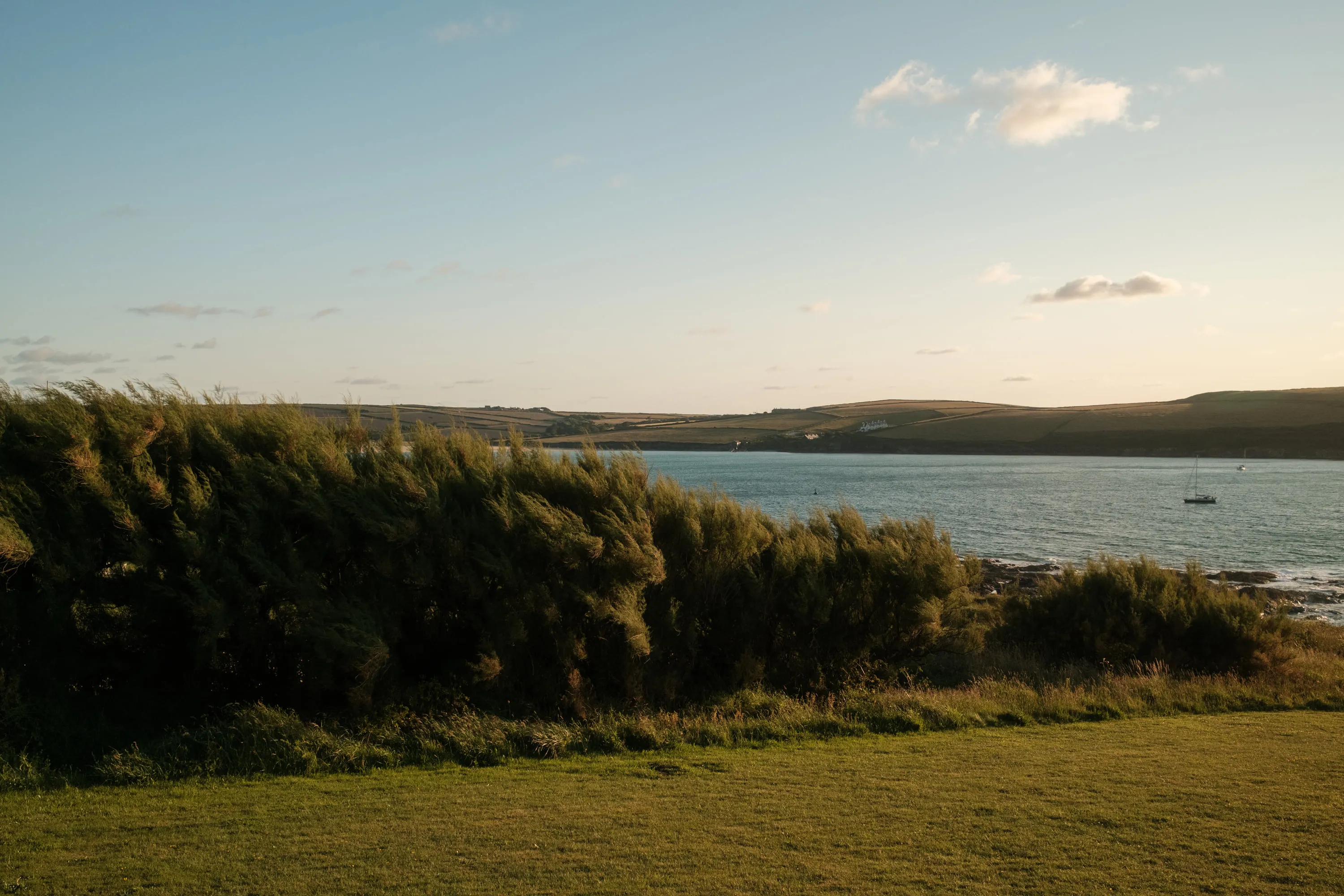Marram grass bent over the estuary, boats beyond.